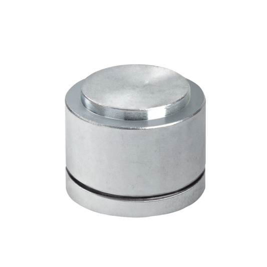 1080-1005-001 87P -Tejuelo Pequeño Para Puertas Batientes de Hasta 200 Kg