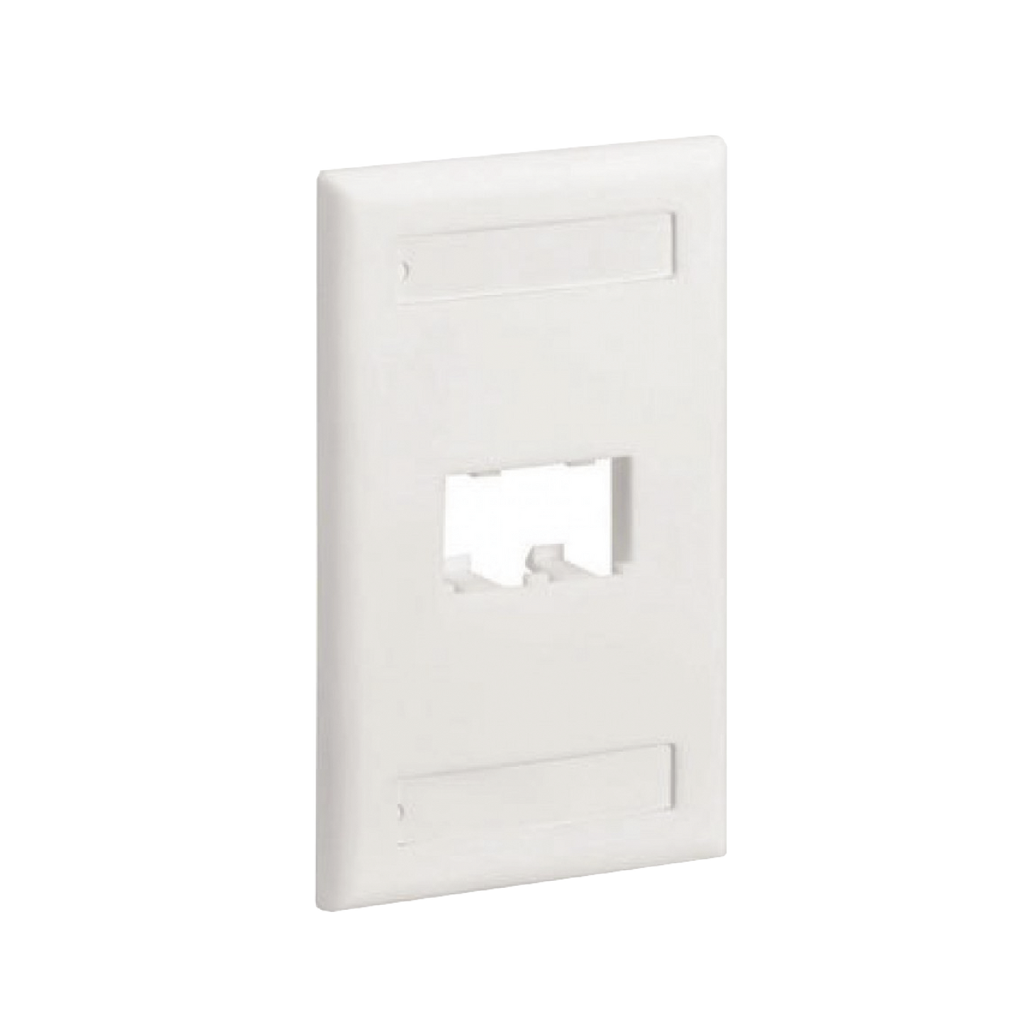 CFPL2WHY - Placa de Pared Vertical Cl�sica, Salida Para 2 Puertos Mini-Com, Con Espacios Para Etiquetas, Color Blanco