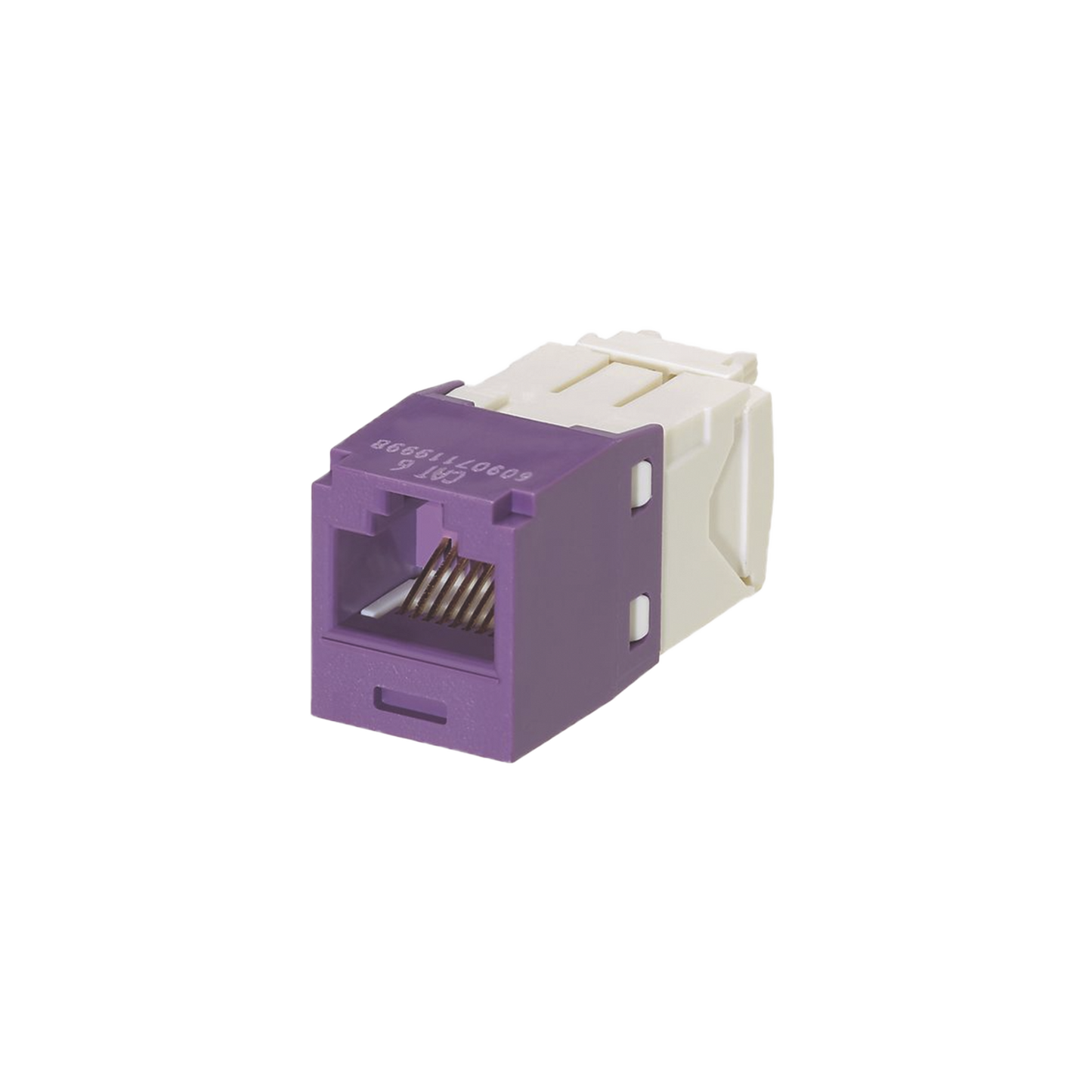 CJ688TGVL - Conector Jack RJ45 Estilo TG, Mini-Com, Categor�a 6, de 8 Posiciones y 8 Cables, Color Violeta