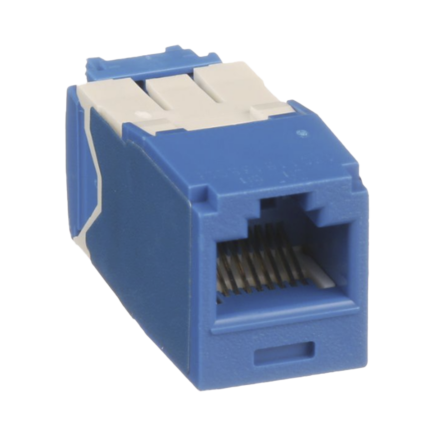 CJ6X88TGBU - Conector Jack RJ45 Estilo TG, Mini-Com, Categor�a 6A, de 8 Posiciones y 8 Cables, Color Azul