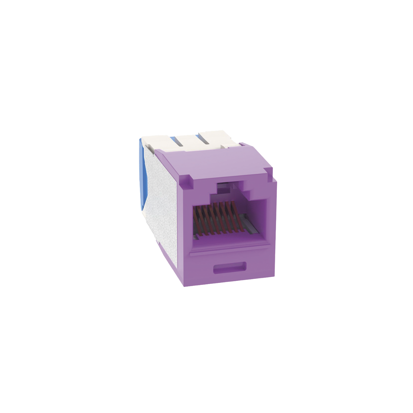 CJ6X88TGVL - Conector Jack RJ45 Estilo TG, Mini-Com, Categor�a 6A, de 8 Posiciones y 8 Cables, Color Violeta