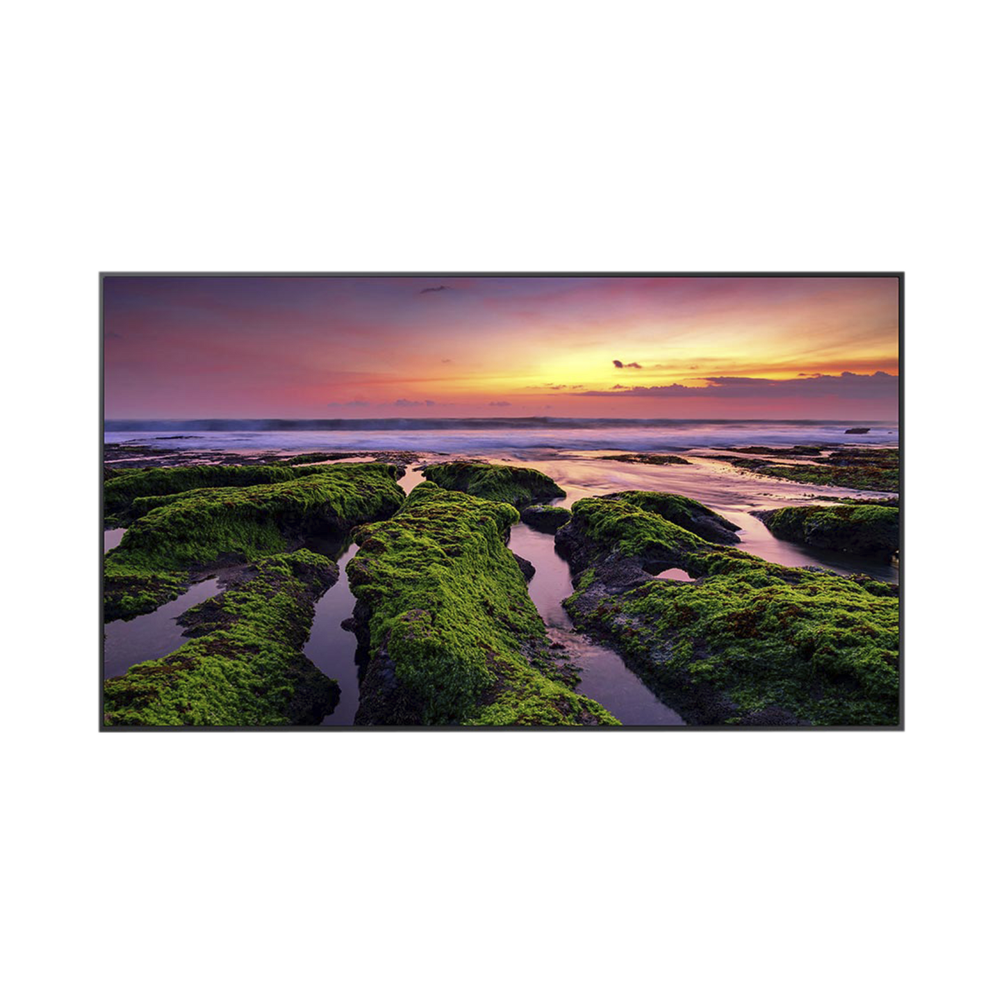 Pantalla Profesional LED de 75, UHD 4K (3840x2160p), Entradas de Video HDM, Bocinas Integradas de 10 W. Compatible VESA / compatible con Magic Info