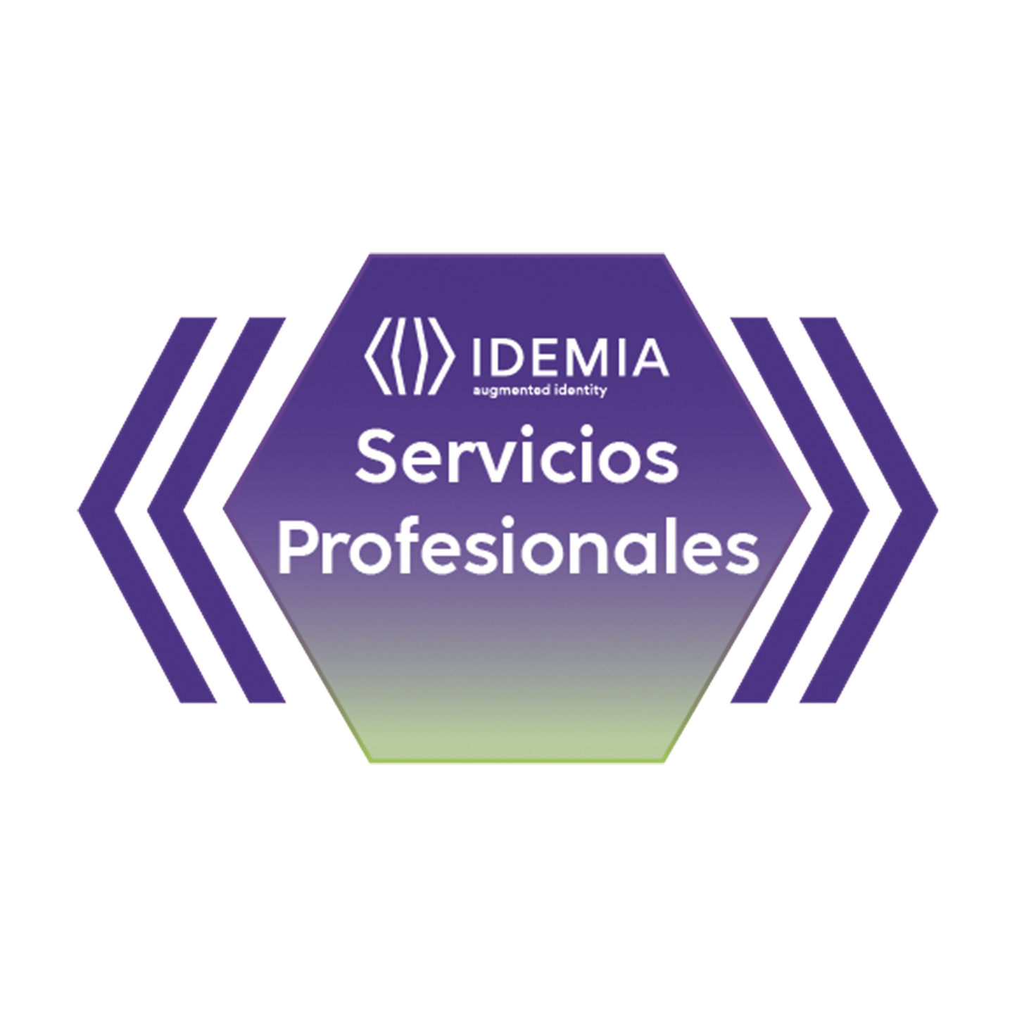287889259 REMOTE ASSISTANCE JUNIOR 4 HORAS
