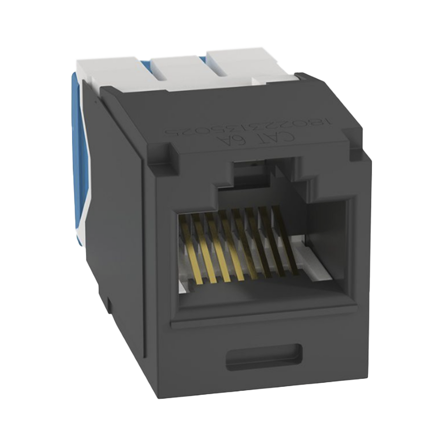 CJ6X88TGBL - Conector Jack RJ45 Estilo TG, Mini-Com, Categor�a 6A, de 8 Posiciones y 8 Cables, Color Negro