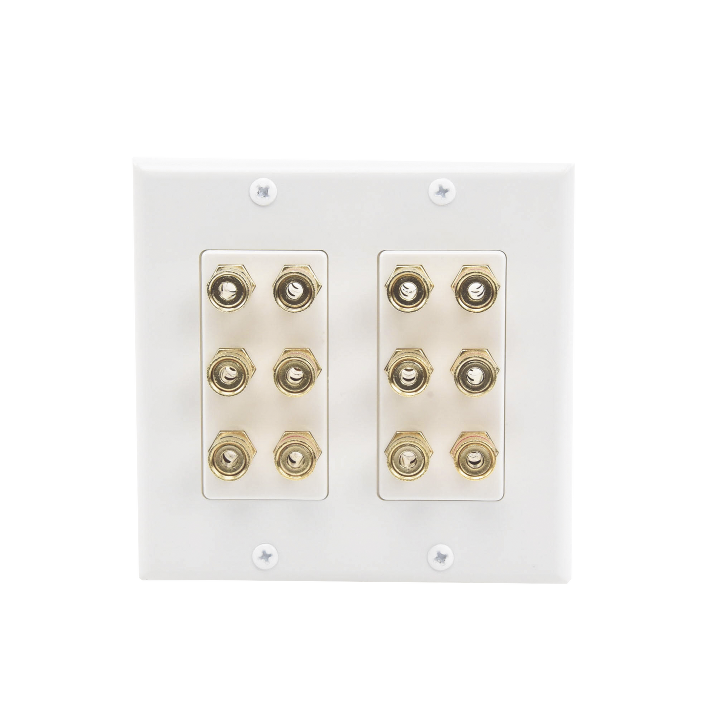 EP-WP6S - Placa de Pared | Postes de Unión Tipo Banana | Conexión para 6 Altavoces | Fácil Instalación | Conectores Chapados en Oro