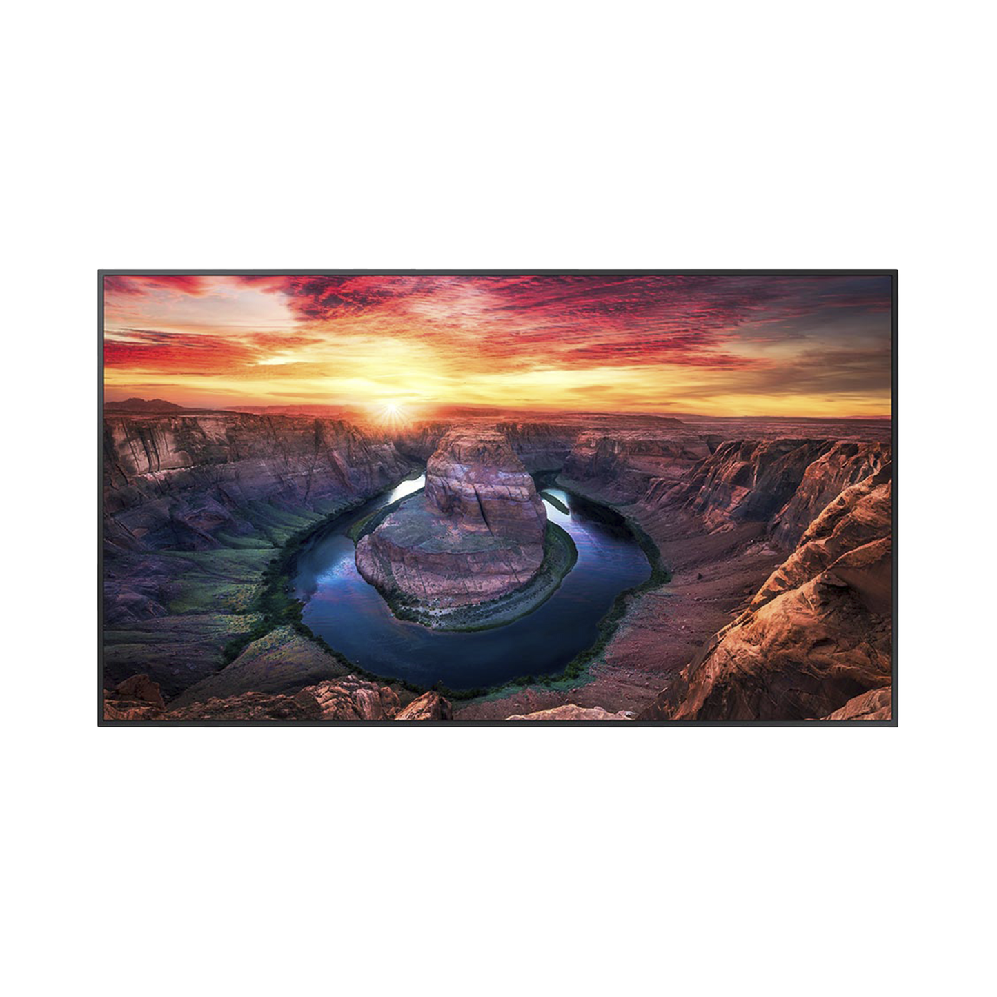 QM65CE Pantalla Profesional LED de 65, UHD 4K (3840x2160p), Entradas de Video HDMI/DisplayPort, Bocinas Integradas de 10 W. Compatible VESA. Modo de Simulación DICOM