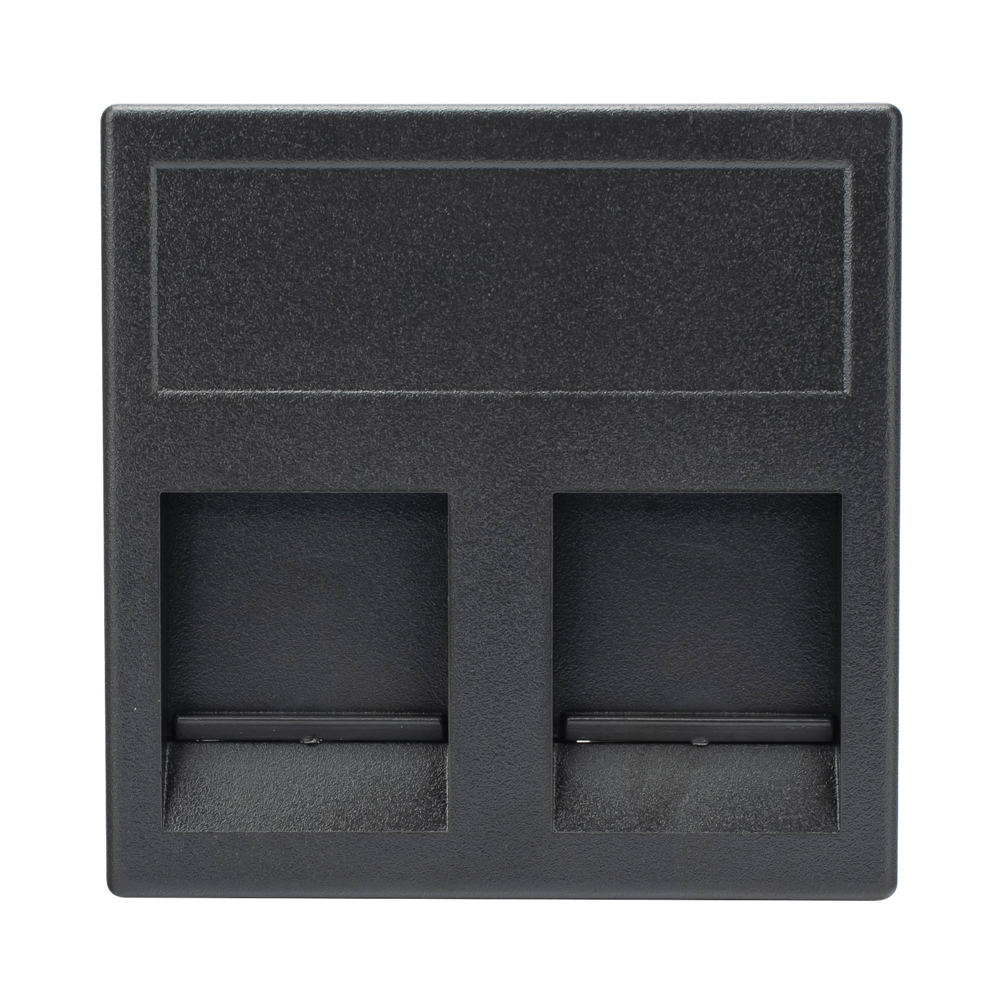 SM-2-KEY-G - M�dulo Color Grafito con 2 Espacios para Jack Keystone con Guardapolvo para las Cajas de Escritorio Ofiblock y Teleblock / (KB76/14)