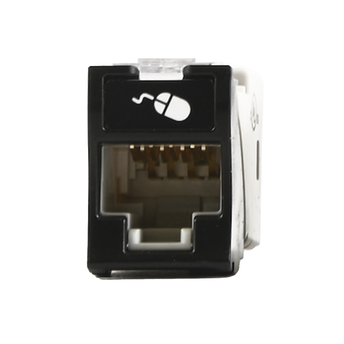 U6-H01NS - Jack Ultramax Cat6, UTP, Montaje H�brido en Placa de Pared (Plano y Angulado), Color Negro, Punch Down