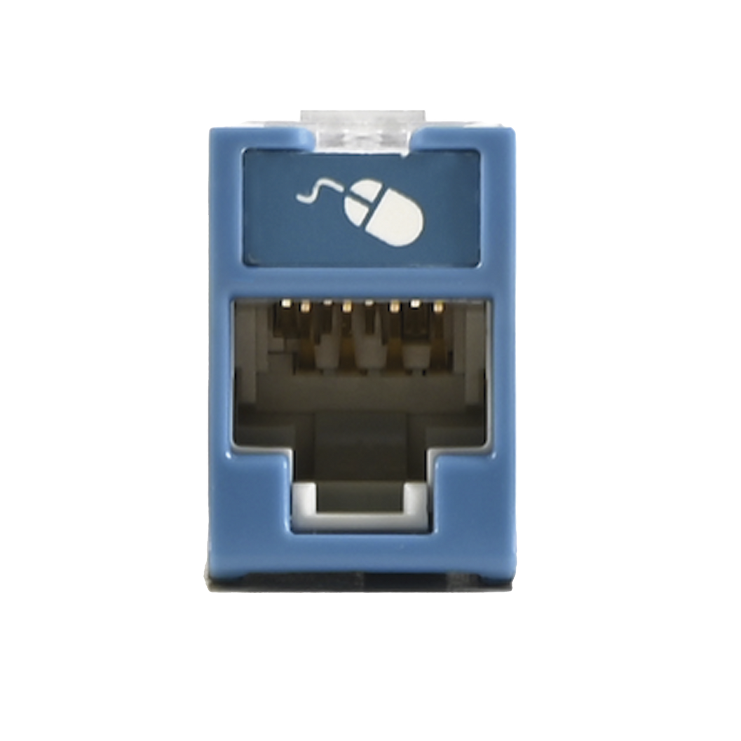 U6-H06NS - Jack UltraMAX Cat6, UTP, Montaje H�brido en Placa de Pared (Plano y Angulado), Color Azul, Punch Down