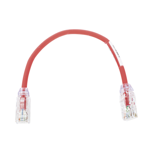 UTP28X8INRD - Cable de Parcheo UTP, Cat6A, Di�metro Reducido (28 AWG), CM/LSZH, Color Rojo, 20.3 cm (8 Pulgadas)