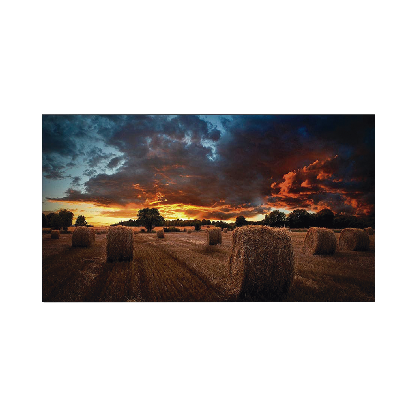VM55BU - Pantalla Profesional LED de 55" para Video Wall, Full HD (1080p), HDMI/DVI-D/DP, Bisel Ultra Delgado de 2.3mm. Compatible VESA 600x400