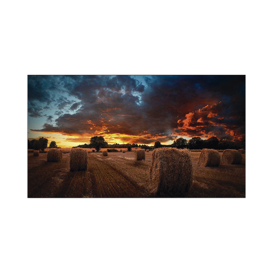 VM55BU - Pantalla Profesional LED de 55" para Video Wall, Full HD (1080p), HDMI/DVI-D/DP, Bisel Ultra Delgado de 2.3mm. Compatible VESA 600x400