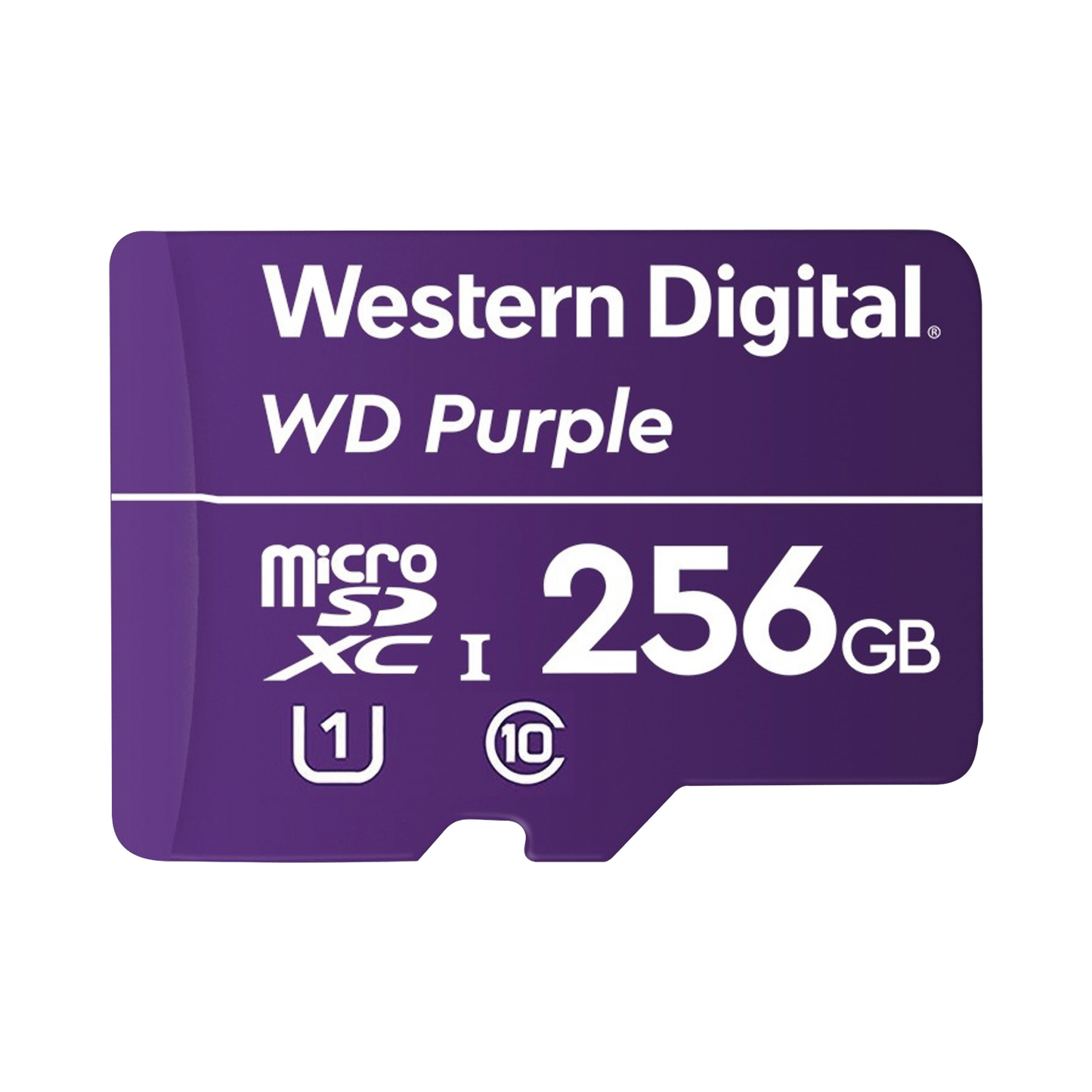 WD256MSD Memoria microSD de 256 GB PURPLE, Especializada Para Videovigilancia, 10 VECES MAYOR DURACIÓN, 3 AÑOS DE GARANTIA